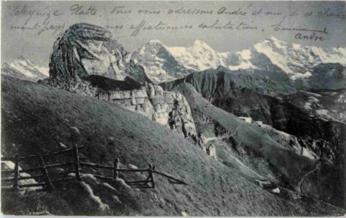 Schynige Platte