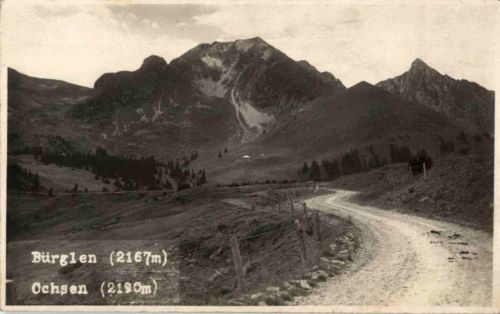 Bürglen Ochsen