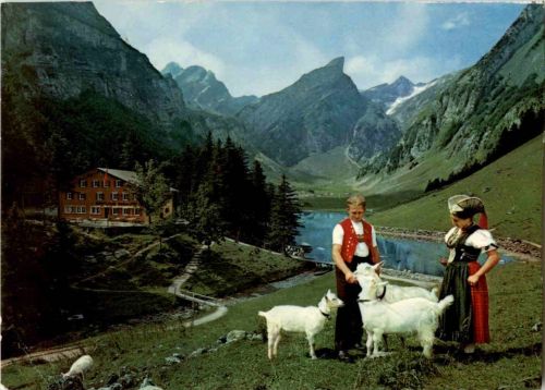 Im Alpstein - Ziegen Goat