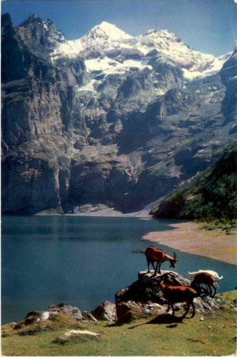 Kandersteg Oeschinensee