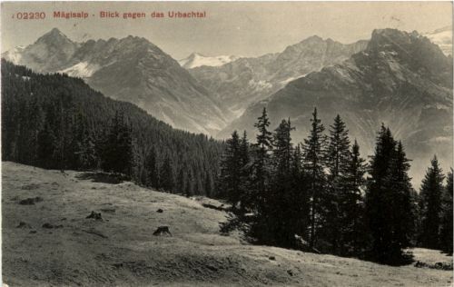Mäglisalp - Blick gegen das Urbachtal