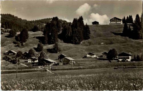 Chalets auf Saanenmöser