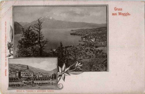 Gruss aus Weggis - Hotel zum goldenen Löwen