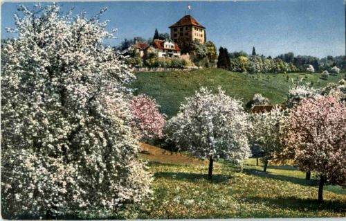 Schloss Heidegg