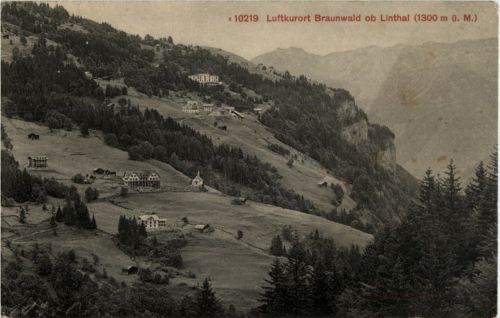 Braunwald