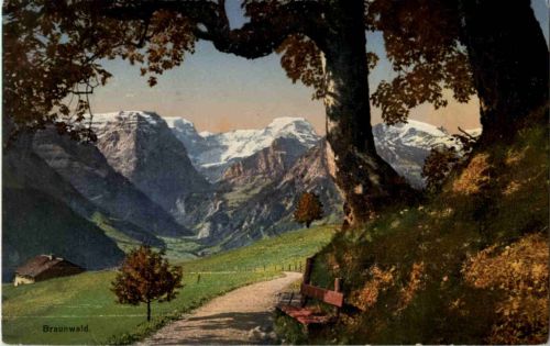 Braunwald