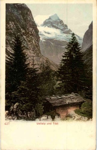 Uelialp und Tödi