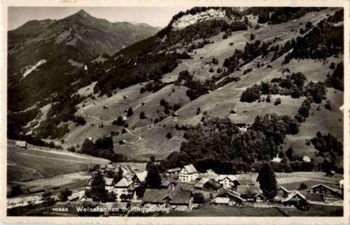 Weisstannen Ringgenberg