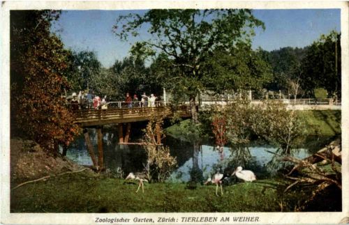 Zürich - Zologischer Garten