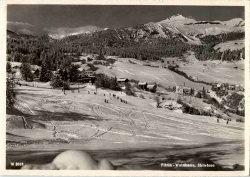 Flims Waldhaus - Skiwiese