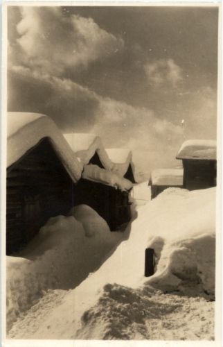 Flims - Fidaz