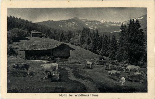 Idylle bei Waldhaus Flims