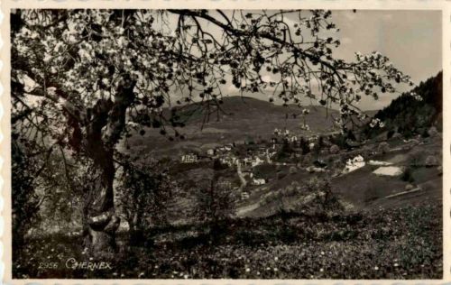Chernex