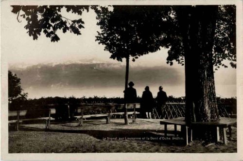 Le Signal sur Lausanne et le Dent d Oche