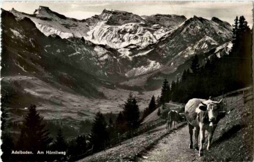 Adelboden - Am Hörnliweg