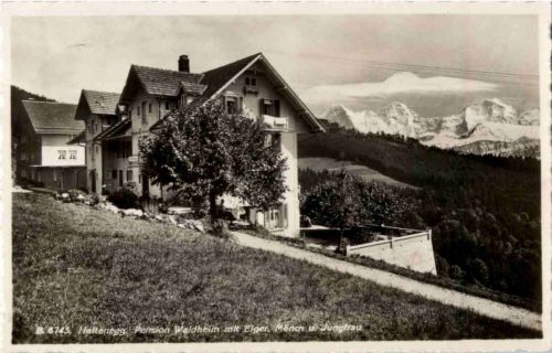 Haltenegg bei Thun - Pension Waldheim