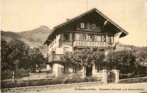 Chateau d Oex - Pension La Gummifluh