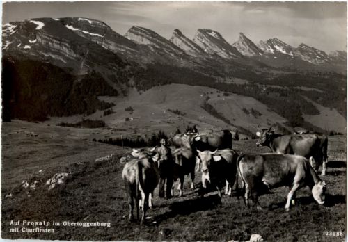 Auf Frosalp im Obertoggenburg