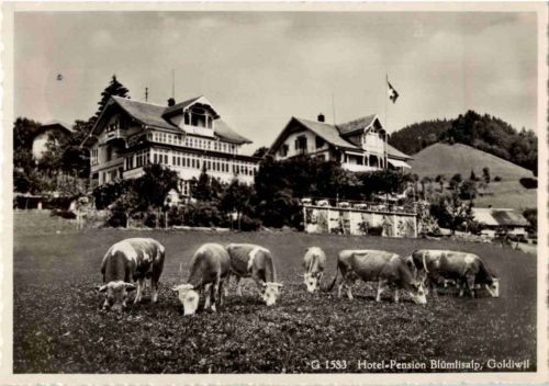Goldiwil - Hotel Blümlisalp