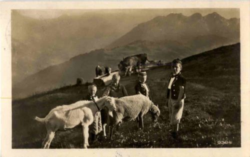 Berner Tracht mit Ziege Goat