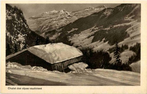 Chalet des alpes vaudoises