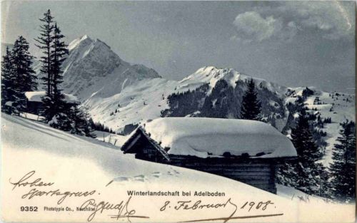 Winterlandschaft bei Adelboden