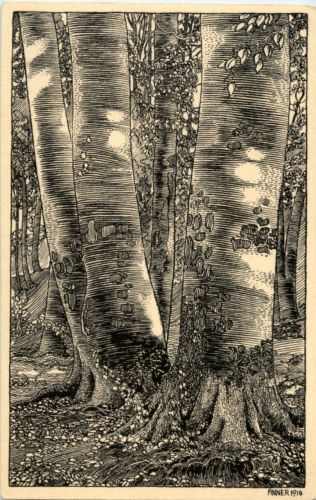 Schinznach Bad - Künstlerkarte E. Anner