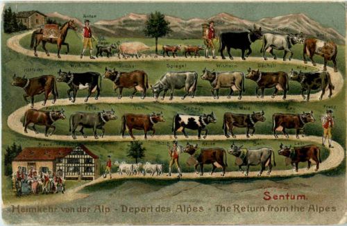 Heimkehr von der Alm - Prägekarte