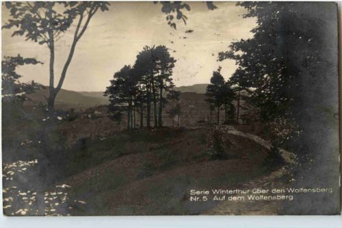 Winterthur - Auf dem Wolfensberg