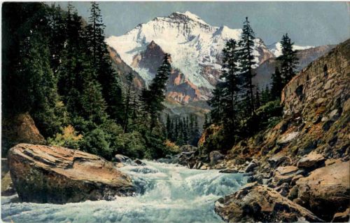 Die weisse Lütschine mit Jungfrau