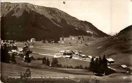 Morgins