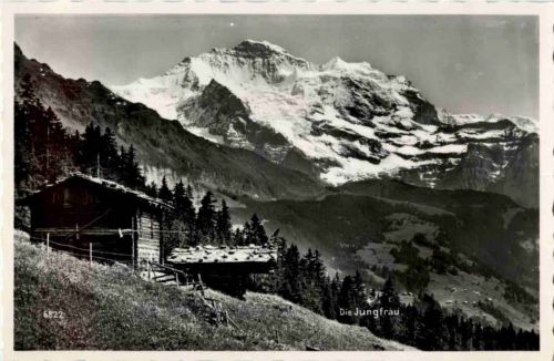 Wengen Jungfrau