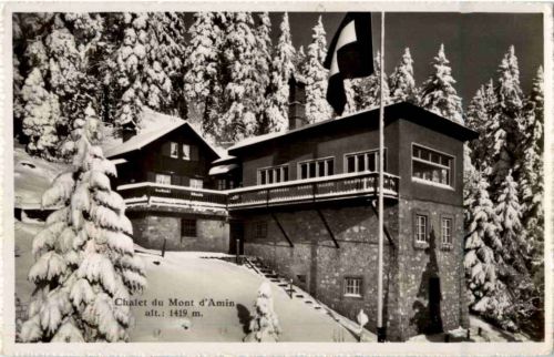Hotel Mont d Amin