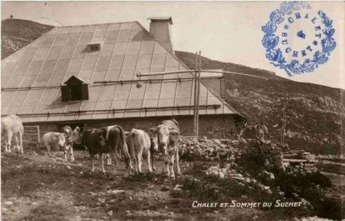 Chalet et Sommet du Suchet