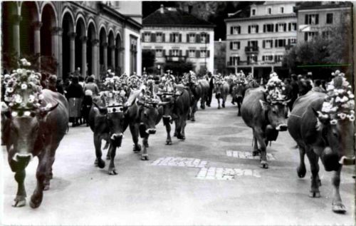 Bad Ragaz - Heimkehr von der Alp