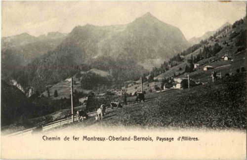 Chemin de fer Montreux Oberland Bernois - Paysage d Allieres