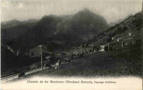 Chemin de fer Montreux - Oberland - Paysage d Allieres