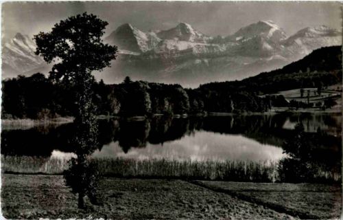 Amsoldingen See bei Thun