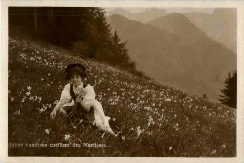 Jeune vaudoise cueillant des Narcisses