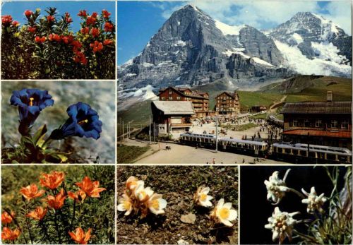 Kleine Scheidegg