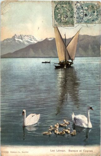 Lac Leman - Barque et Cygnes