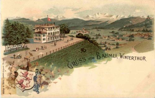 Gruss vom Baumli Winterthur - Litho