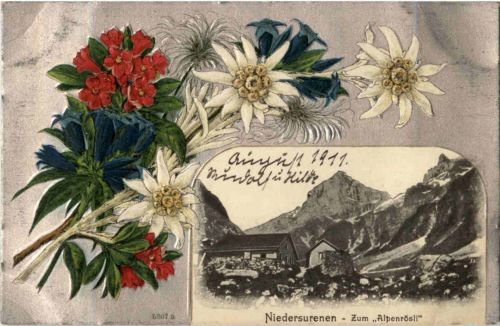 Niedersurenen - Prägekarte