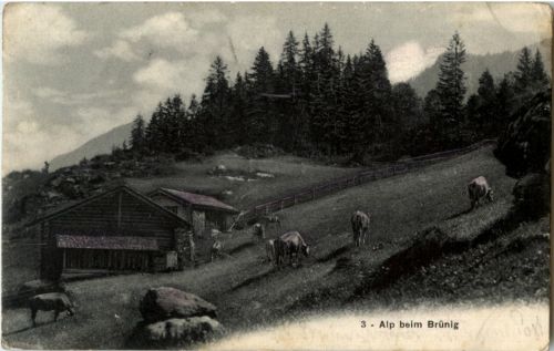 Alp beim Brünig