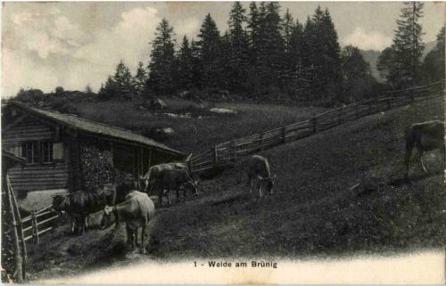 Weide am Brünig
