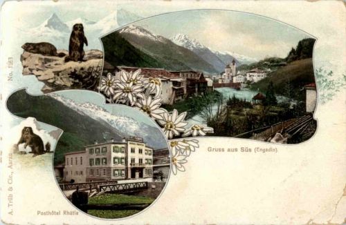 Gruss aus Süs - Murmeltier