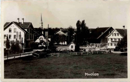 Muolen