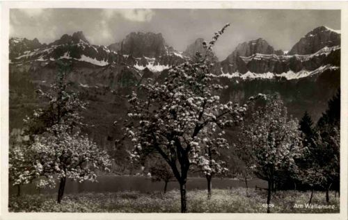 Am Wallensee