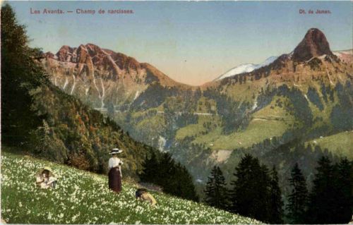 Les Avants