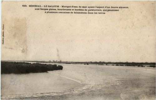 Senegal - Le Saloum